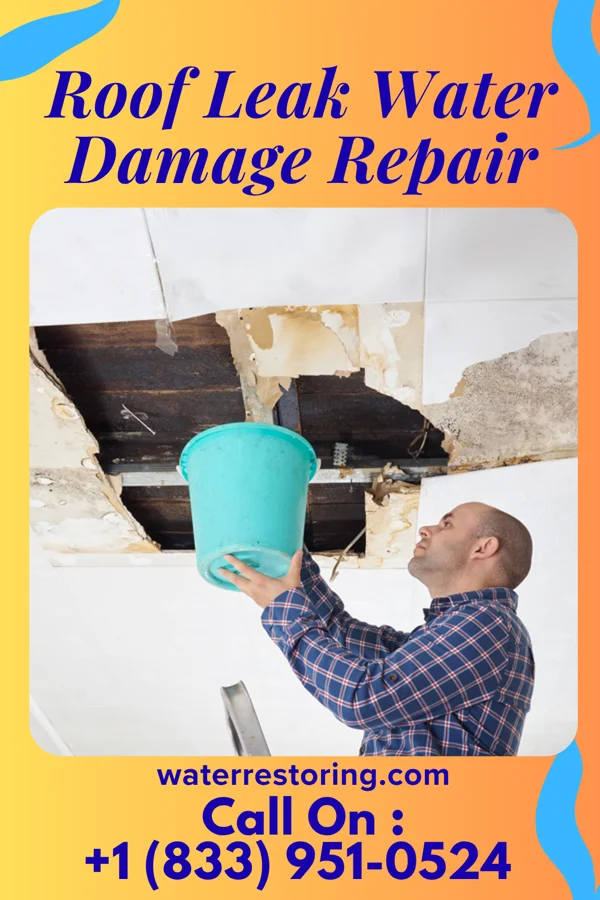Roof Leak Water Damage Repair in Spalding, NE