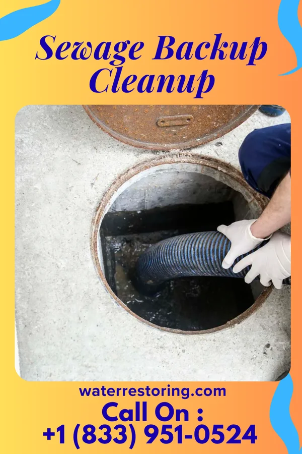 Sewage Backup Cleanup in Spalding, NE