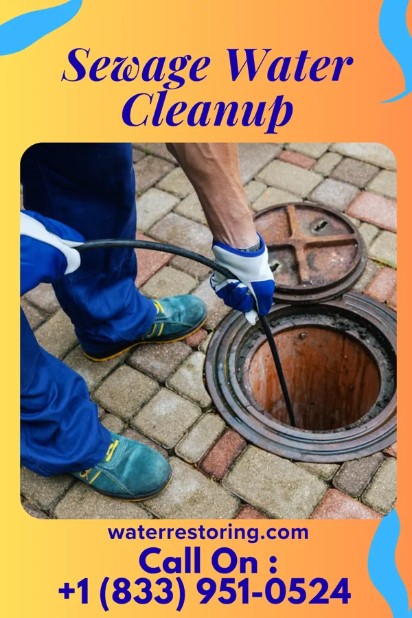 Sewage Water Cleanup in Spalding, NE